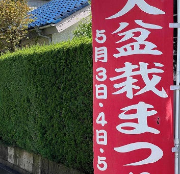 盆栽まつり