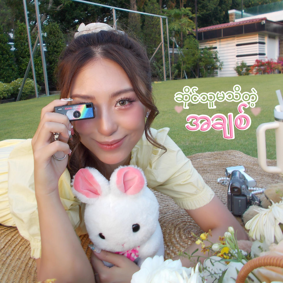 Cover Art (13)
