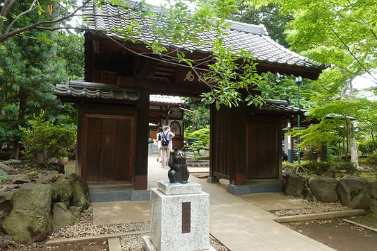 DSC00367.JPG
