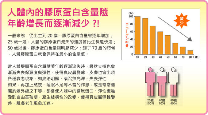 縮圖：DHC 美肌膠原蛋白片 (60日)