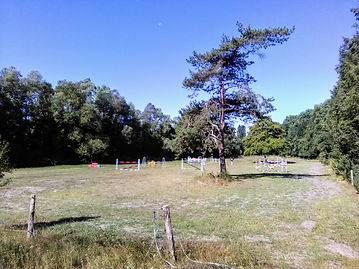 IMG_20180803_102745 (1).jpg