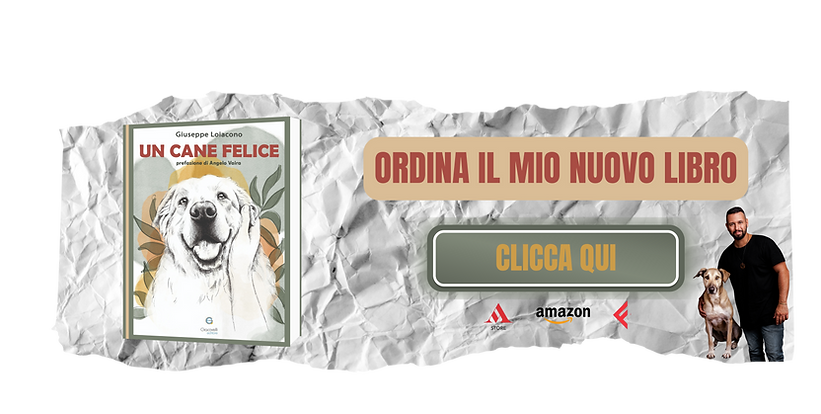 “UN CANE FELICE” (2).png