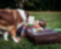 squish-35.jpg