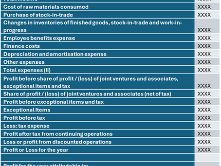 IFRS 18: Will the new standard aid investors and analysts?