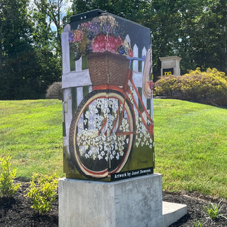 Utility box wrapped with art; photograph; Bicycle with flowers