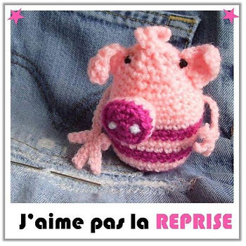 cochon au crochet sur un jeans troué avec une aiguille. Texte "j'aime pas la reprise"