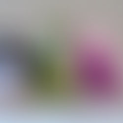 pingouin au crochet, cochon au crochet, cameleon au crochet