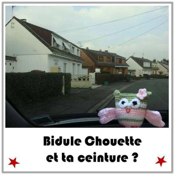 Bidule Chouette en voiture fait le tour de la ville pour découvrir les paysages