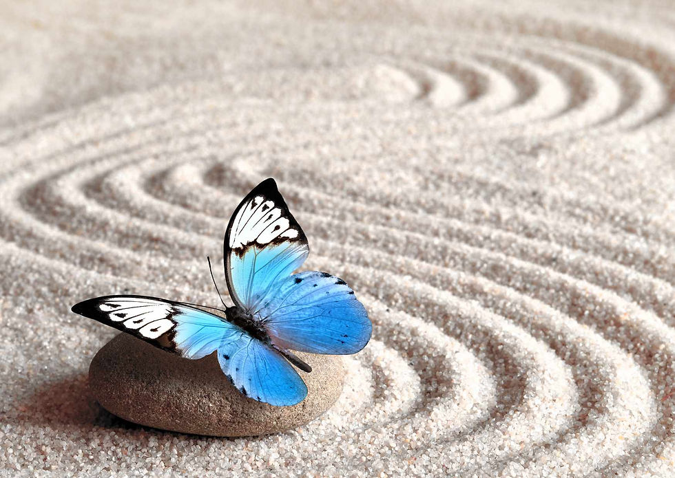 papillon bleu posé sur une pierre sur le sable avec des vagues dessinées zénitude chercher en terrehappypsy brignoles