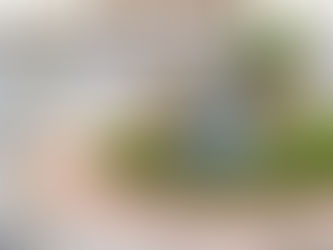 Parfois la sortie scolaire prévue au jardin botanique prend une tournure insolite ! Toujours voir le bon côté des choses...