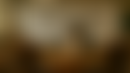 Pingouin au crochet Pingouinnot qui donne des cours à des élèves petits singes au crochet au cours d'un atelier d'écriture avec le jeu Adopte un dragon