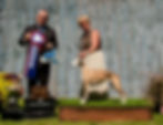 Great Lakes Whippet Club