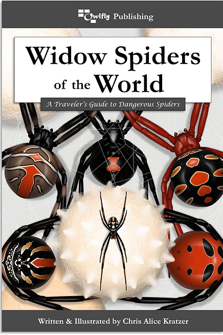 Coverbind Shadow.png