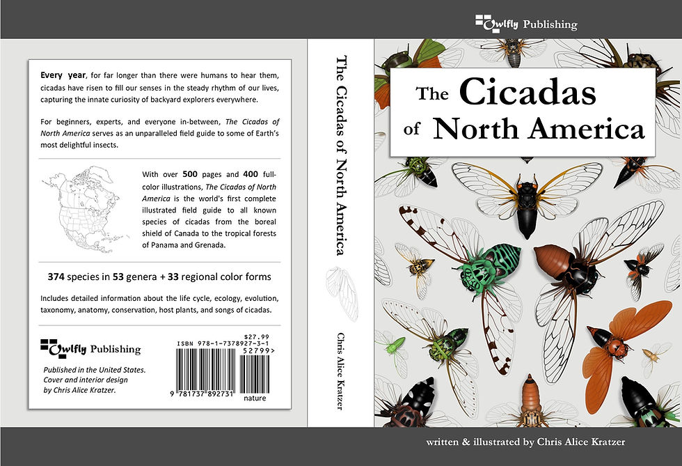 Thumbnail: The Cicadas of North America (Softcover)