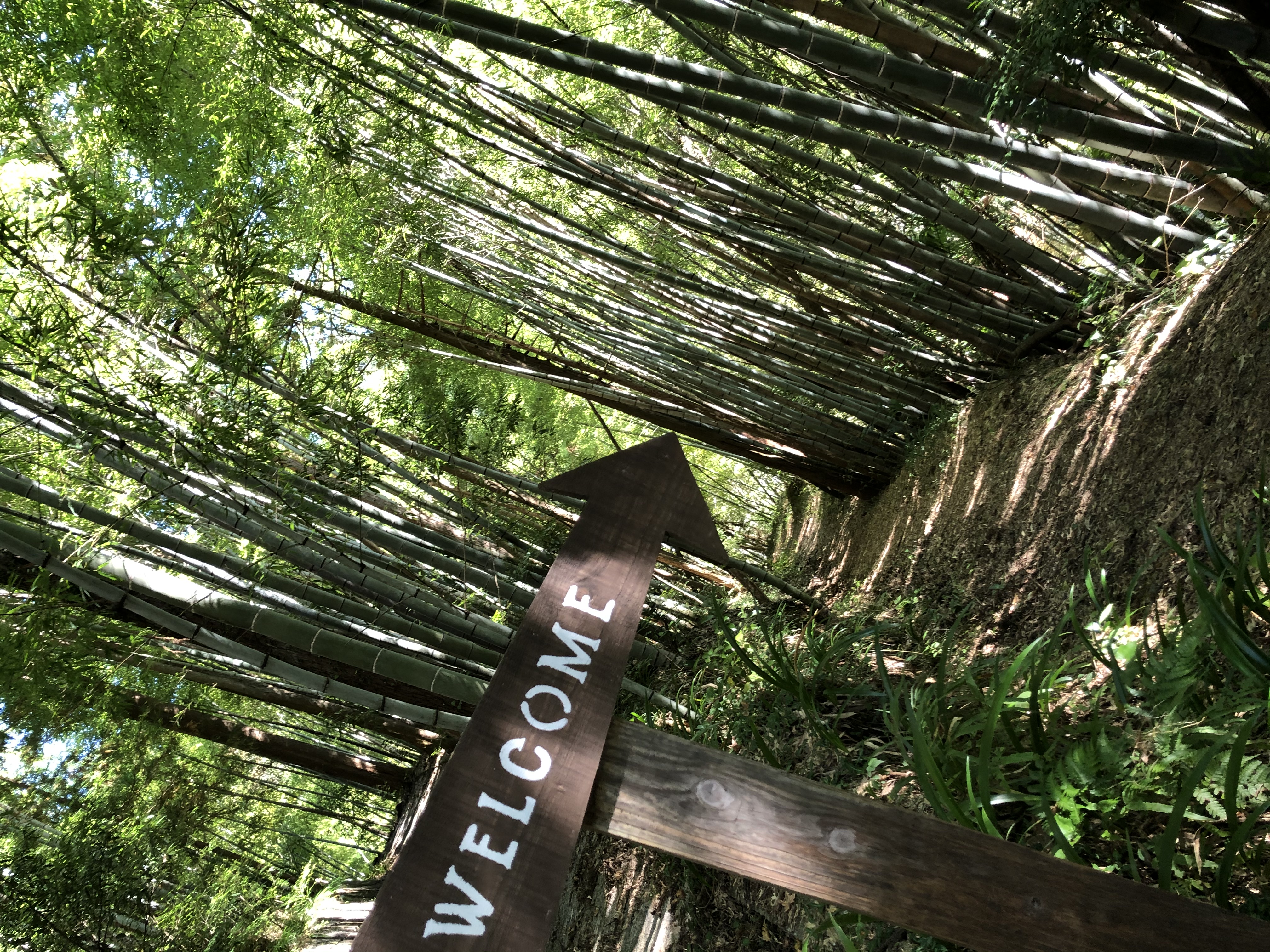 Photo 日本 Chilloutbasewesttama Photo 日本 Chilloutbasewesttama