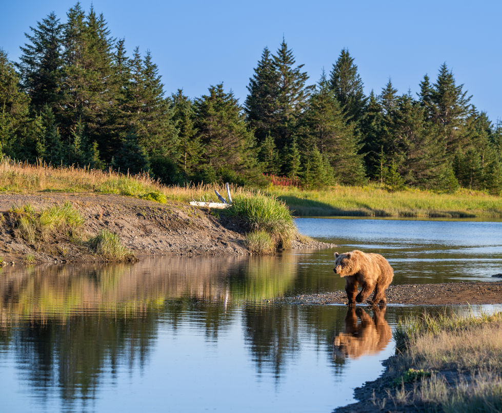 AB470FAF-5335-48F4-93F7-A1FAECA4AC58