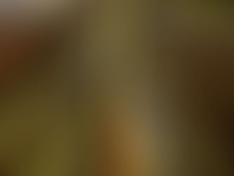 6. The search for the Root People