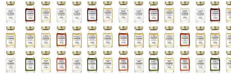 slide-biologique-recherche-1_266af68e-a5fd-4e76-a494-54714becf154.webp