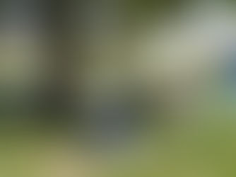 schilderdag 21 april 2018