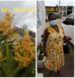 AddText_05-08-11.39.47