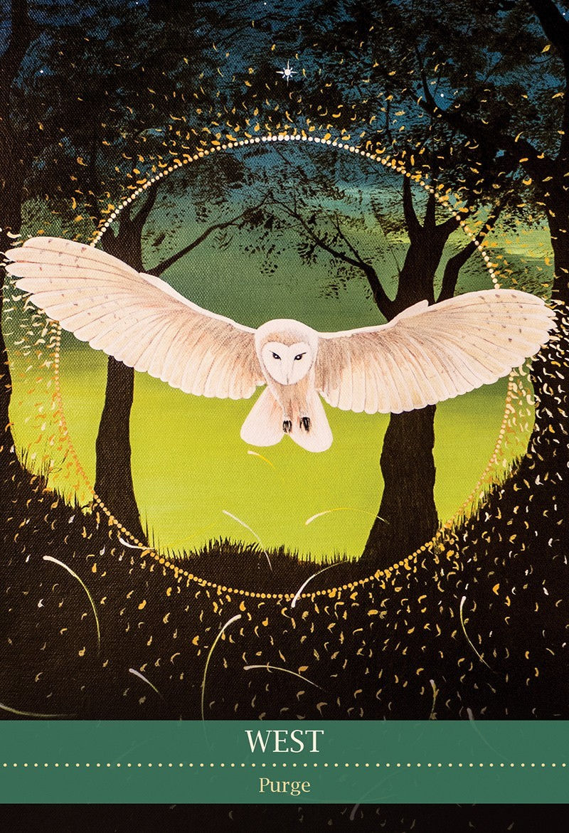 Thumbnail: Shamanic Medicine Oracle Cards