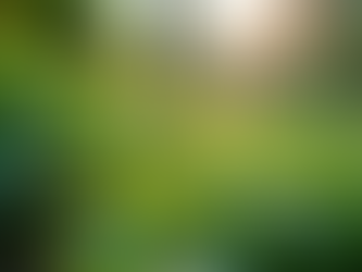 The Importance of Sustainable Living in Today's World