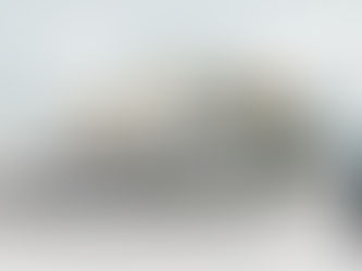 Warum die Lupus XT2 PLUS Alarmanlage ideal für Neubauten ist – Häufig gestellte Fragen