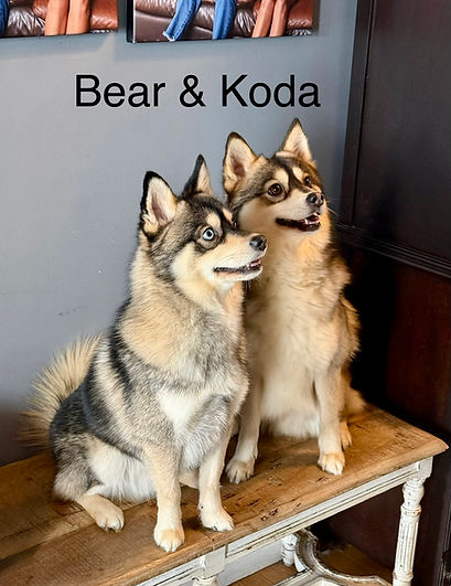 bear and koda.jpeg
