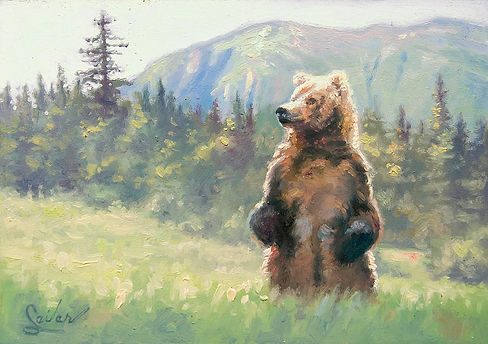 Bear.jpg