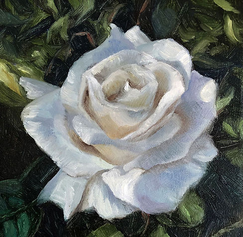 White Rose.jpg