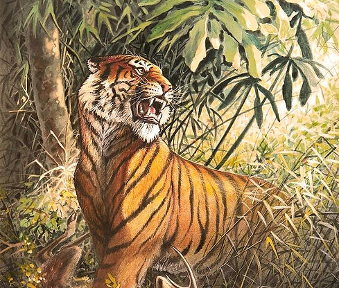 tiger-in-forest-vishal-gurjar_edited.jpg