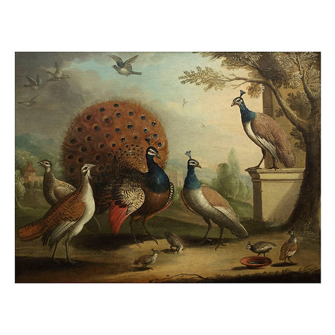 Antique-Oil-Painting-of-Peacock-Pheasant-Birds01__09311.jpg