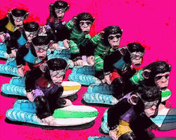 Surfing Monkeys