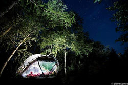 FB_IMG_1590688033530