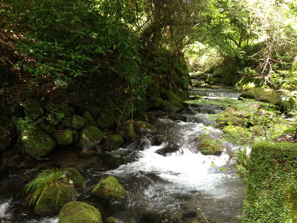 吉無田高原水源地