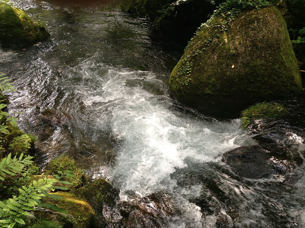 吉無田高原水源地