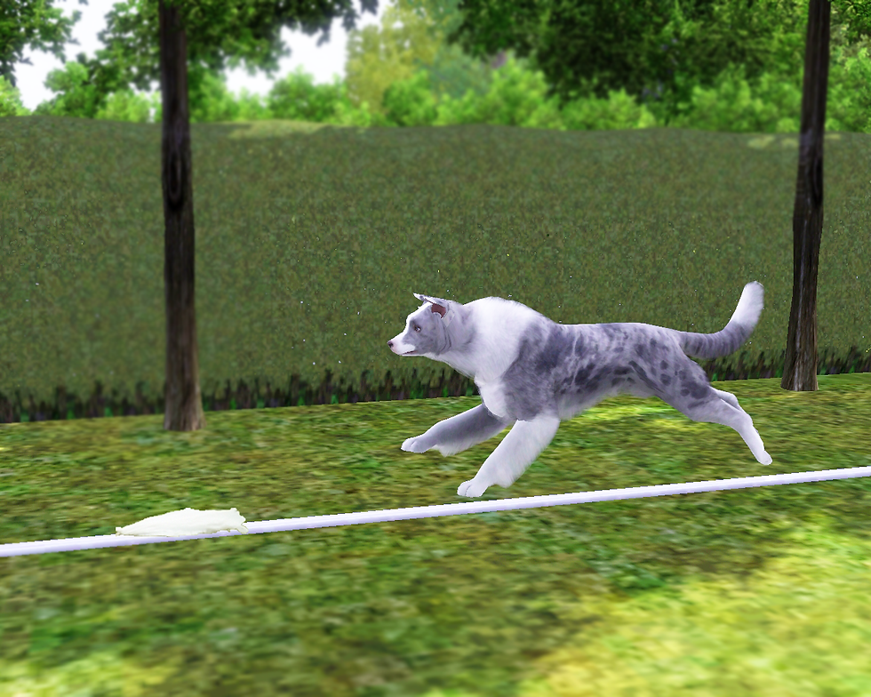 Prince Lure Course.png