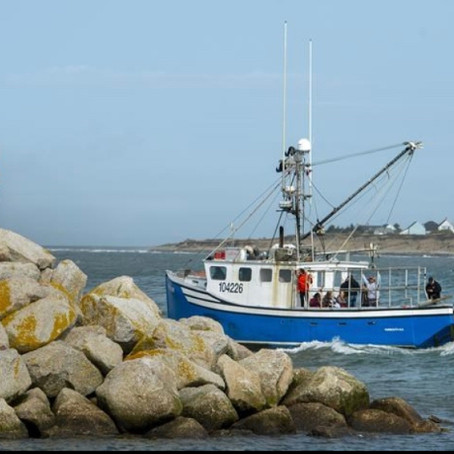 Controversy over a Treaty to Violent Conflict in Nova Scotia