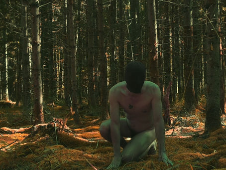 POL TONIN live 3rd April, 2026