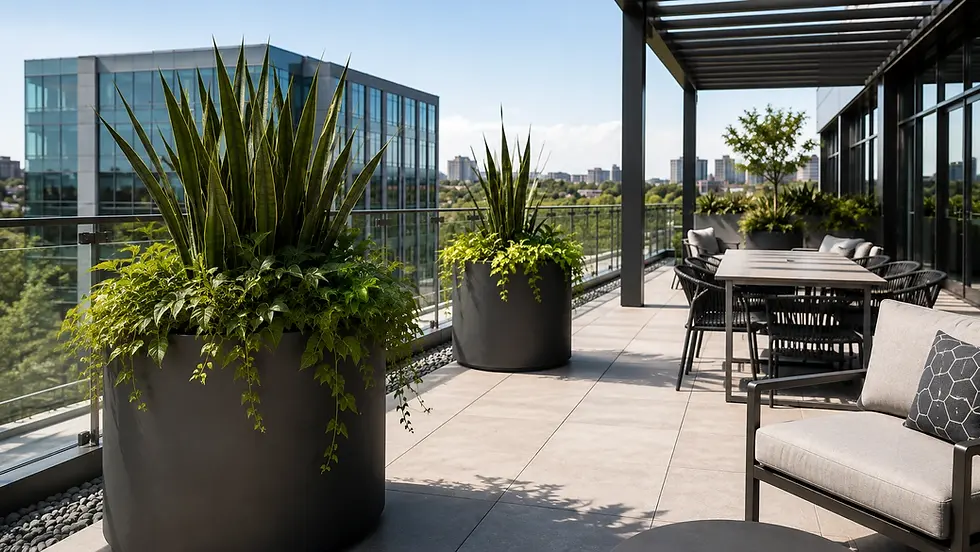 Large commercial planters arranged on a rooftop terrace for a flexible short-term planter program.