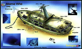 Mama Viña Wreck
