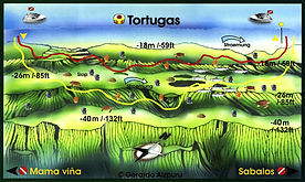 Tortugas reef