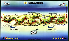 Barracuda reef