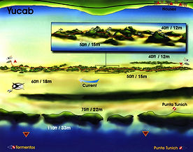 Mapas Yucab | Cozumel