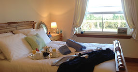 Luxury Irish homestay accommodation and delicious homemade meals.