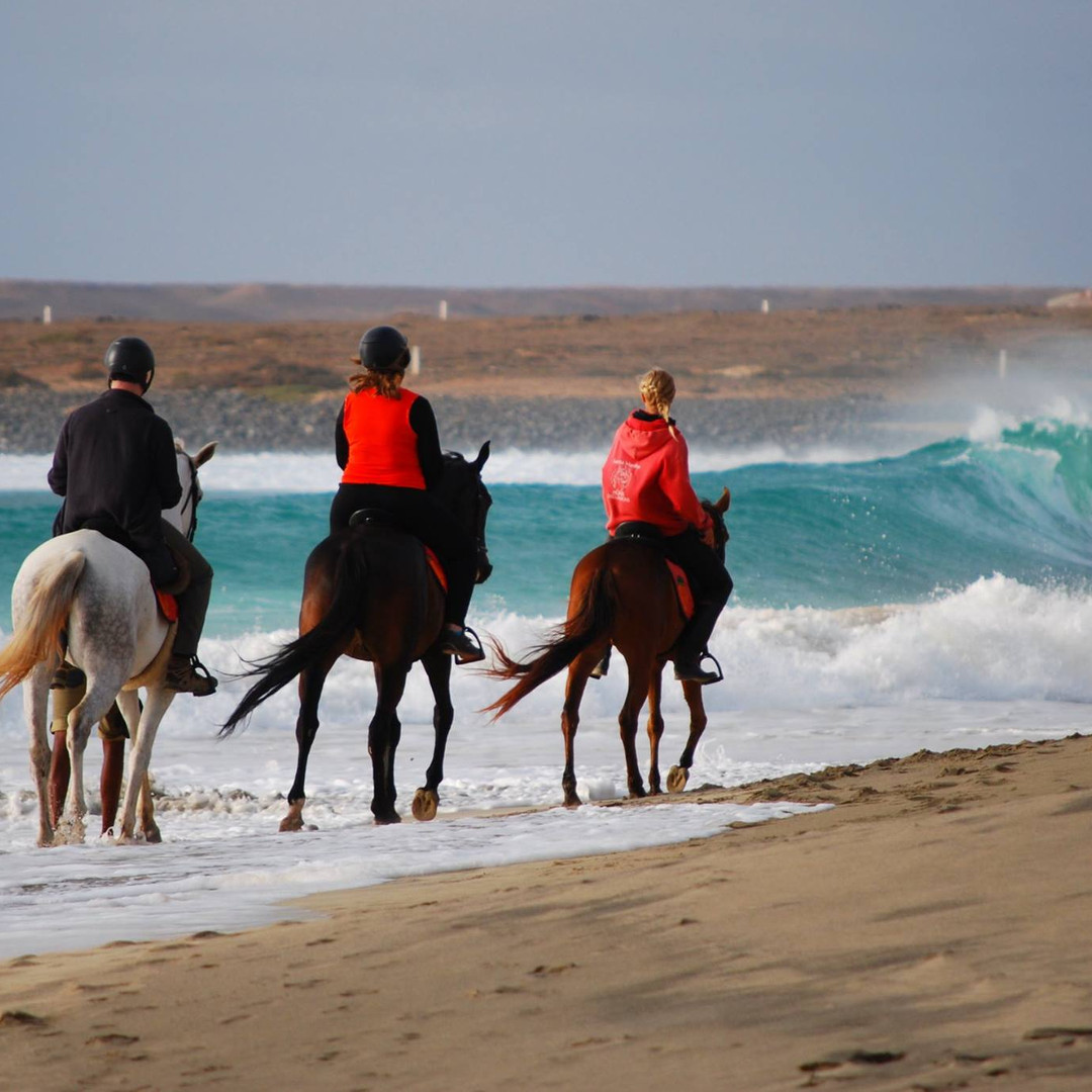Horse Riding in Sal Island Cape Verde Santa Marilha Horse Excursions