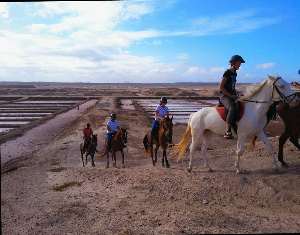 Horse Riding in Sal Island Cape Verde Santa Marilha Horse Excursions