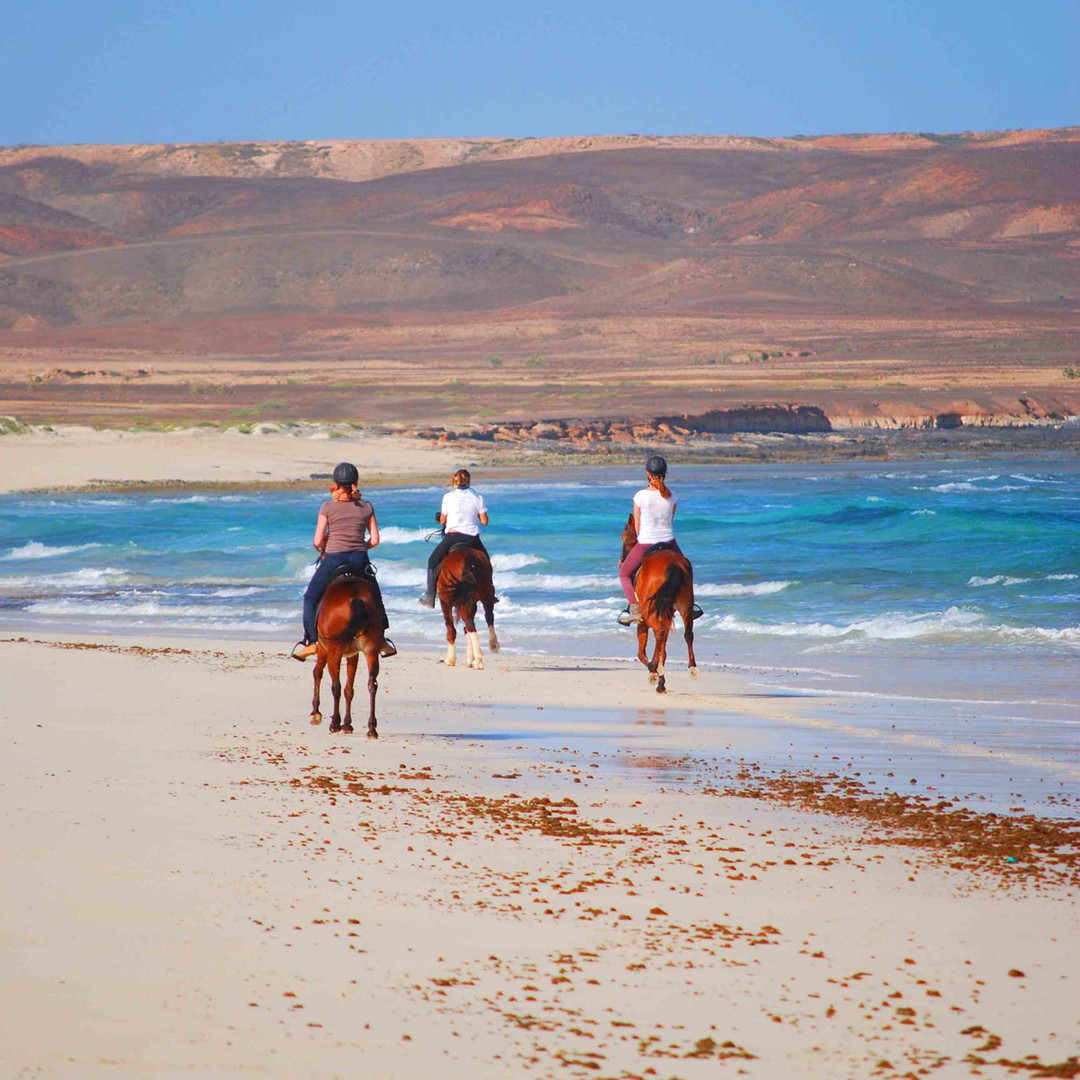 Horse Riding in Sal Island Cape Verde Santa Marilha Horse Excursions