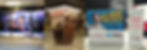 Exhibition montage.jpg