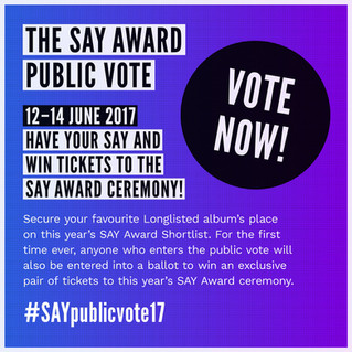 Public Vote Open for SayAward 17.